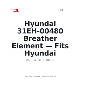 Hyundai 31EH-00480 Filters | Fits Hyundai equipment | Stocked in BC, Ships Canada-Wide