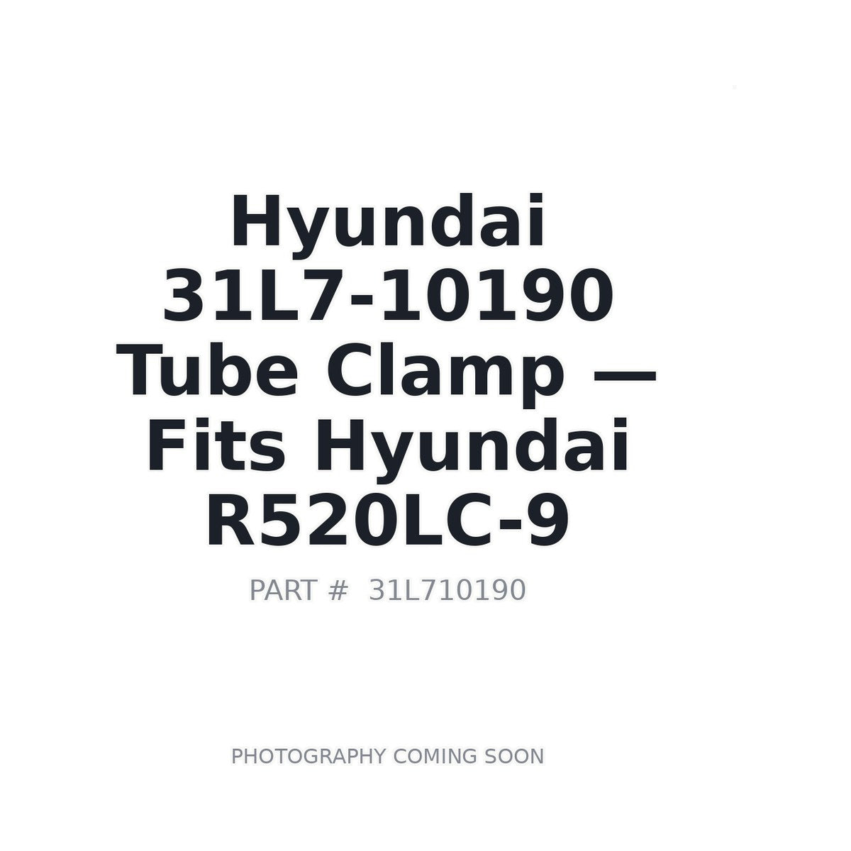 31L7-10190 Hyundai Hardware . Fits R520LC-9