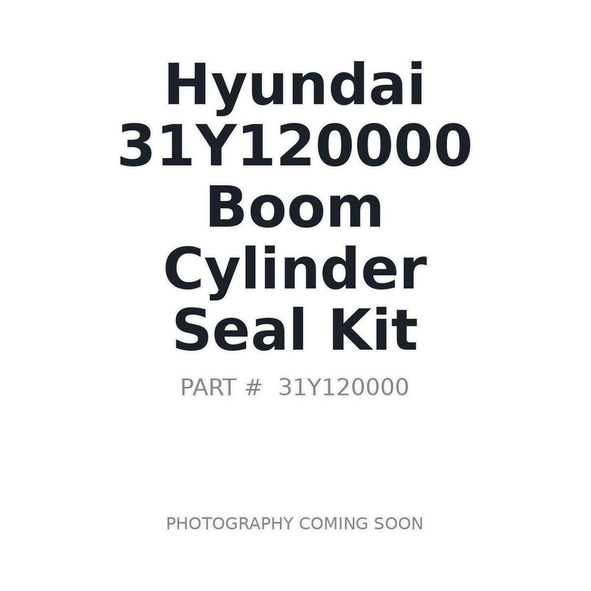 31Y120000 Hyundai Boom Cylinder Seal Kit