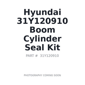 Hyundai 31Y120910 Boom Cylinder Seal Kit | Fits Hyundai excavators | Stocked in BC, Ships Canada-Wide