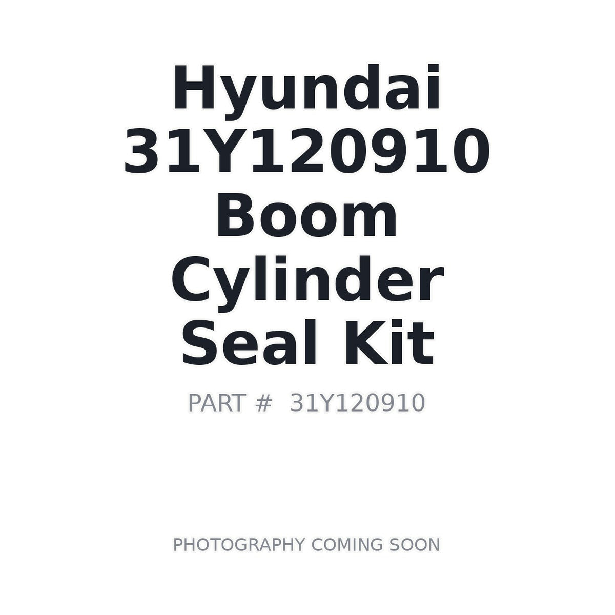 31Y120910 Hyundai Boom Cylinder Seal Kit