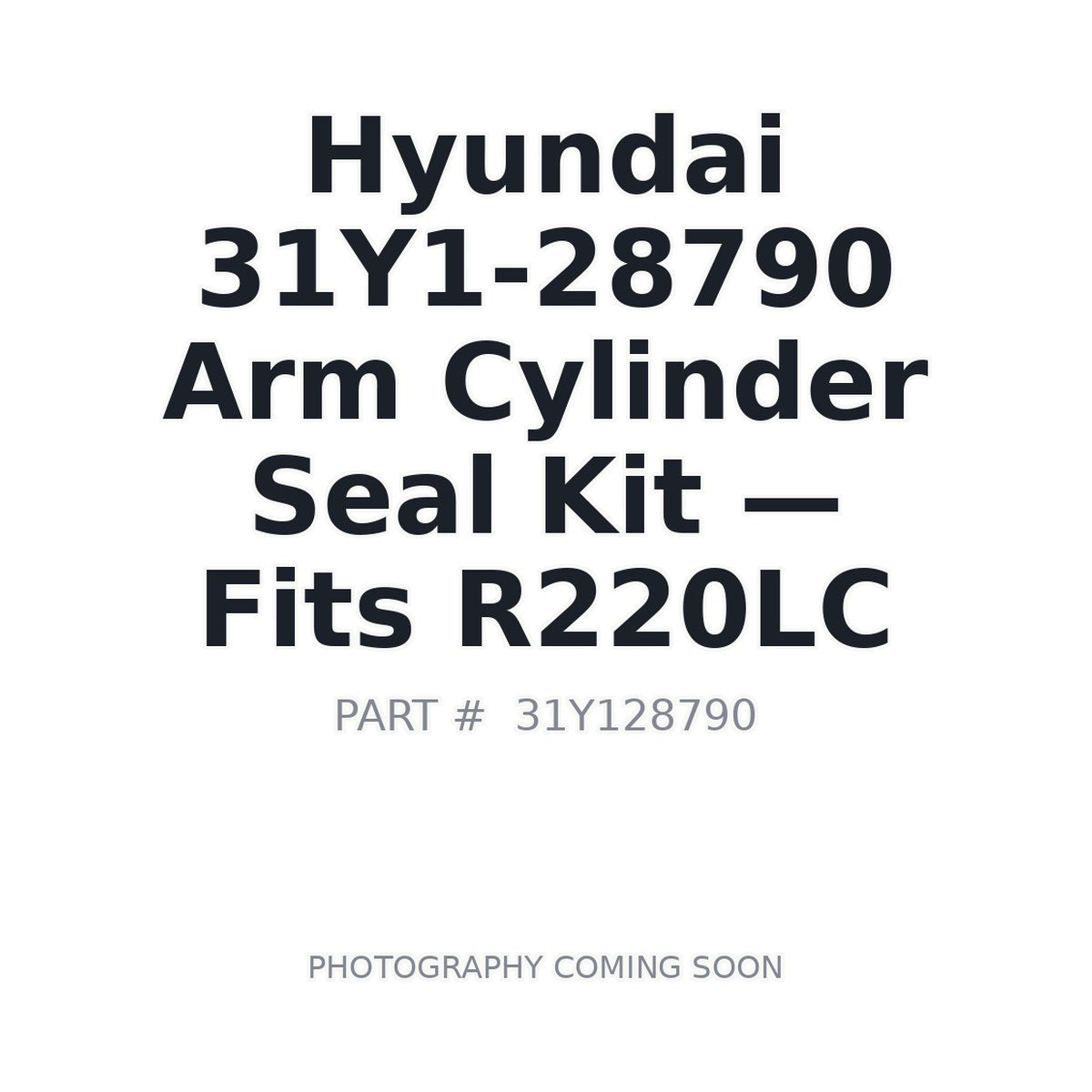 31Y1-28790 Hyundai Hydraulic Seals