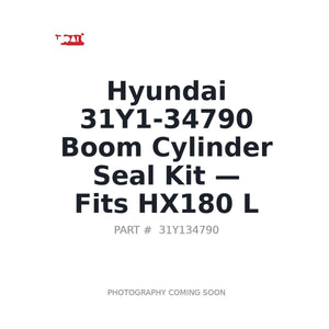 Hyundai 31Y1-34790 Hydraulic Cylinder Seal Kits | Fits Hyundai HX180L | Stocked in BC, Ships Canada-Wide