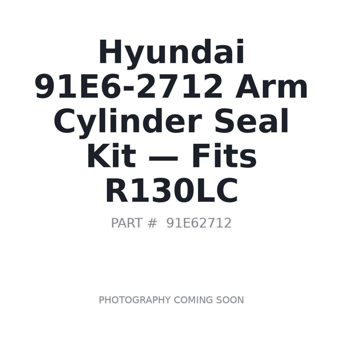 91E6-2712 Hyundai Hydraulic Seals
