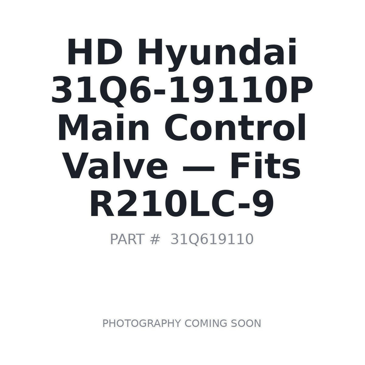 31Q6-19110P Hyundai 31Q619110 Hydraulic Valves . Fits R210LC-9