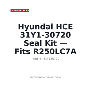 Hyundai HCE 31Y1-30720 Hydraulic Seals | Fits Hyundai R250LC-7A | Stocked in BC, Ships Canada-Wide
