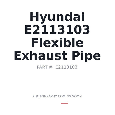 E2113103 Hyundai Flexible Exhaust Pipe