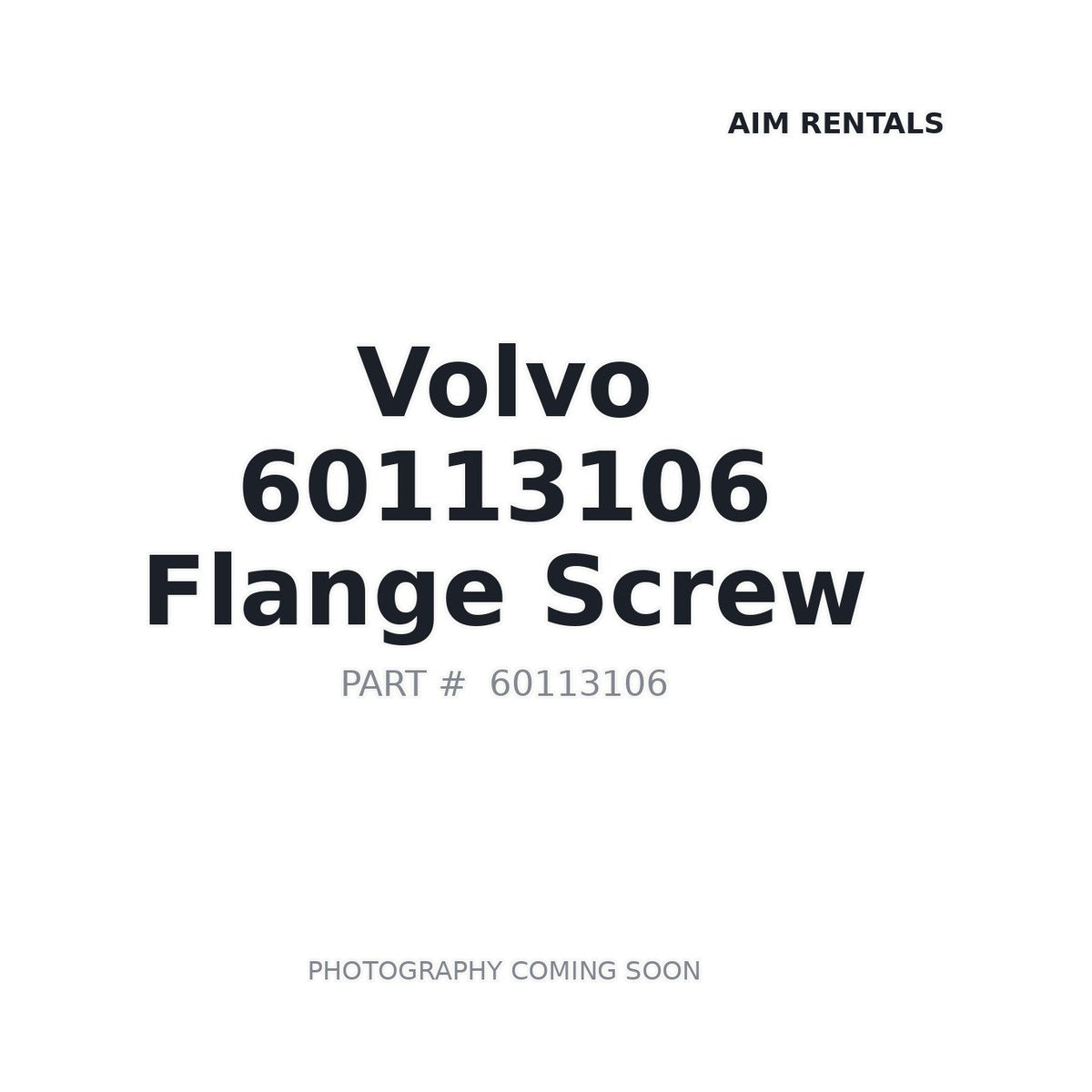 60113106 Volvo Flange Screw