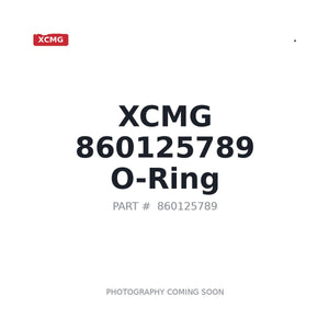 XCMG 860125789 O-ring | Fits XCMG XE470CK | Stocked in BC, Ships Canada-Wide