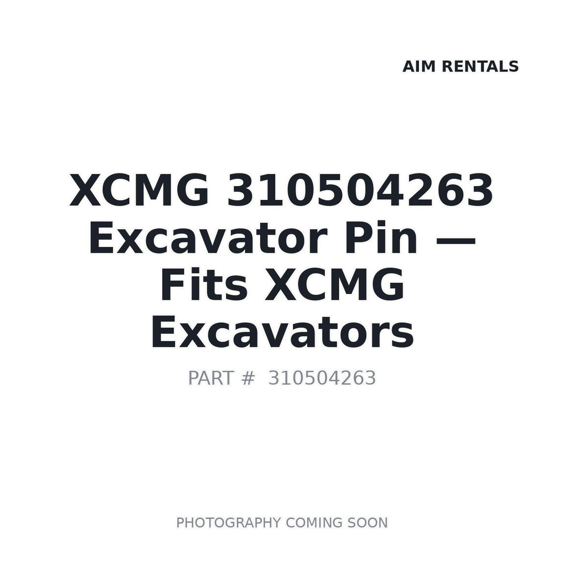 310504263 XCMG Pins