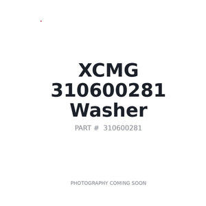 XCMG 310600281 Washer | Fits XCMG excavators | Stocked in BC, Ships Canada-Wide