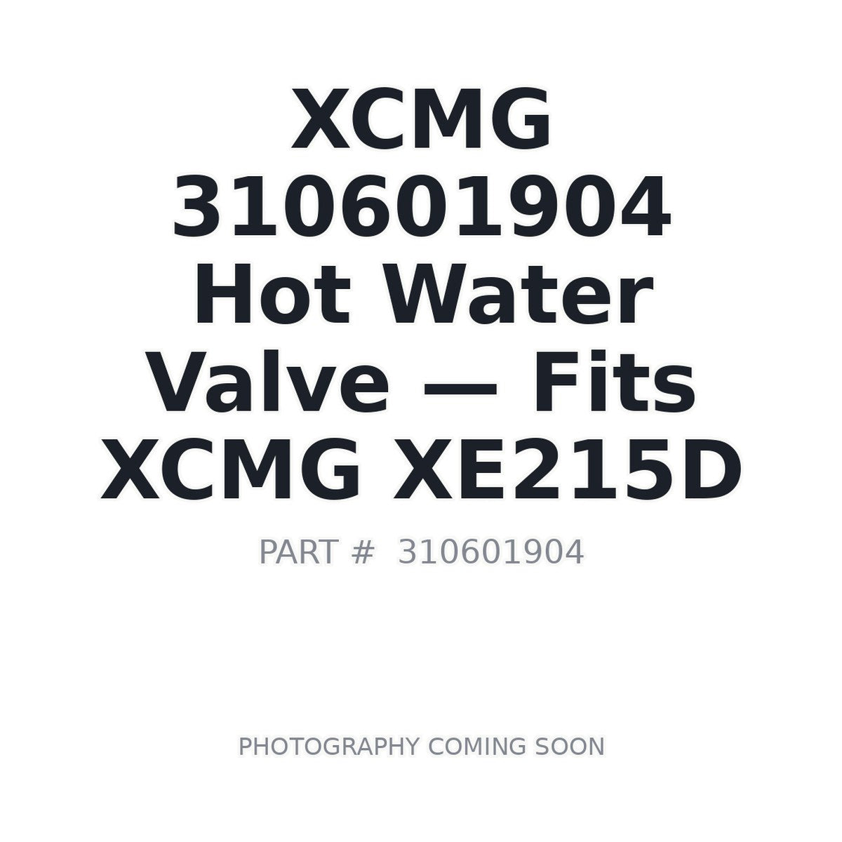 310601904 XCMG Hot Water Valve - Fits XCMG XE215D