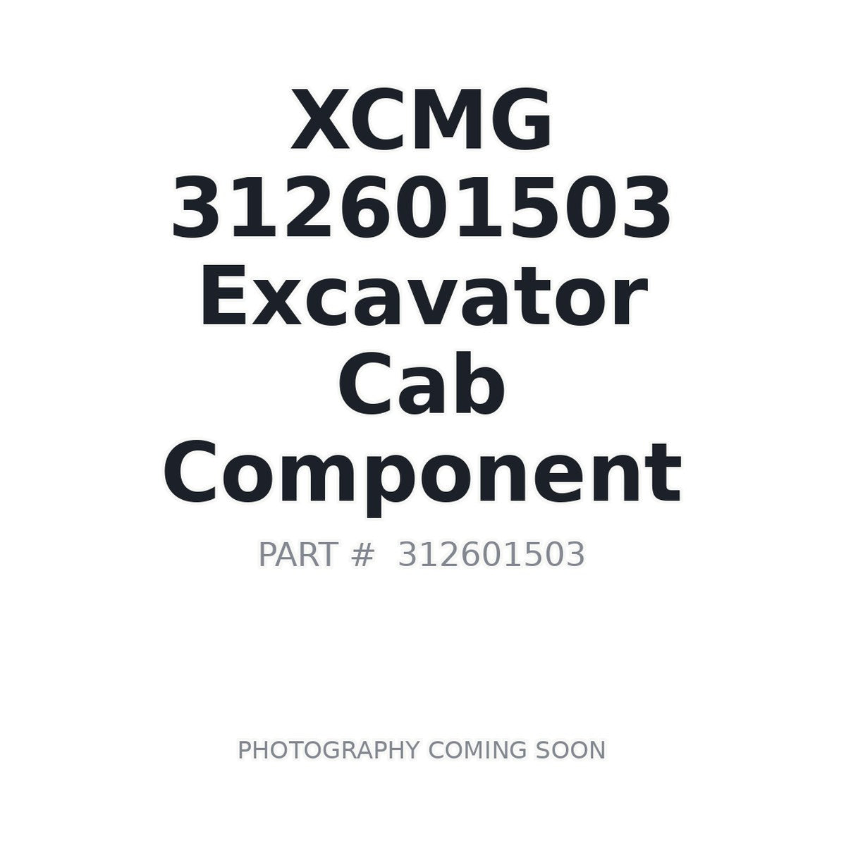 312601503 XCMG Cab Component
