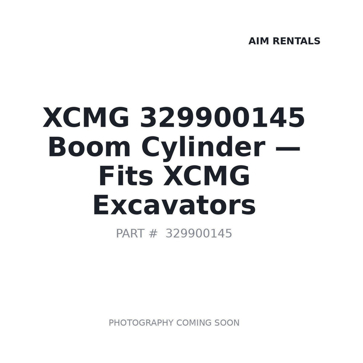 329900145 XCMG Hydraulic Cylinders