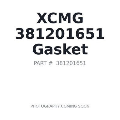 381201651 XCMG Gasket