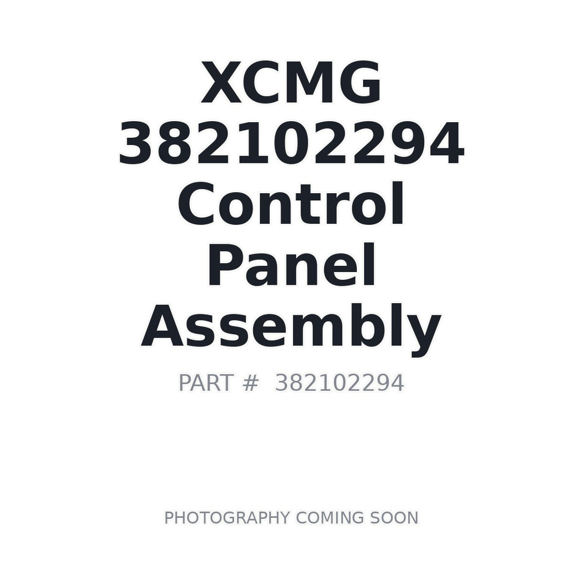 382102294 XCMG Control Panel Assembly