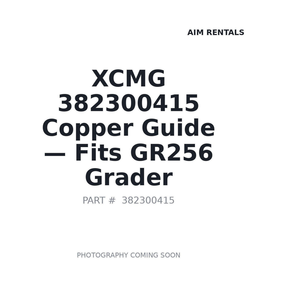 382300415 XCMG Engine Components