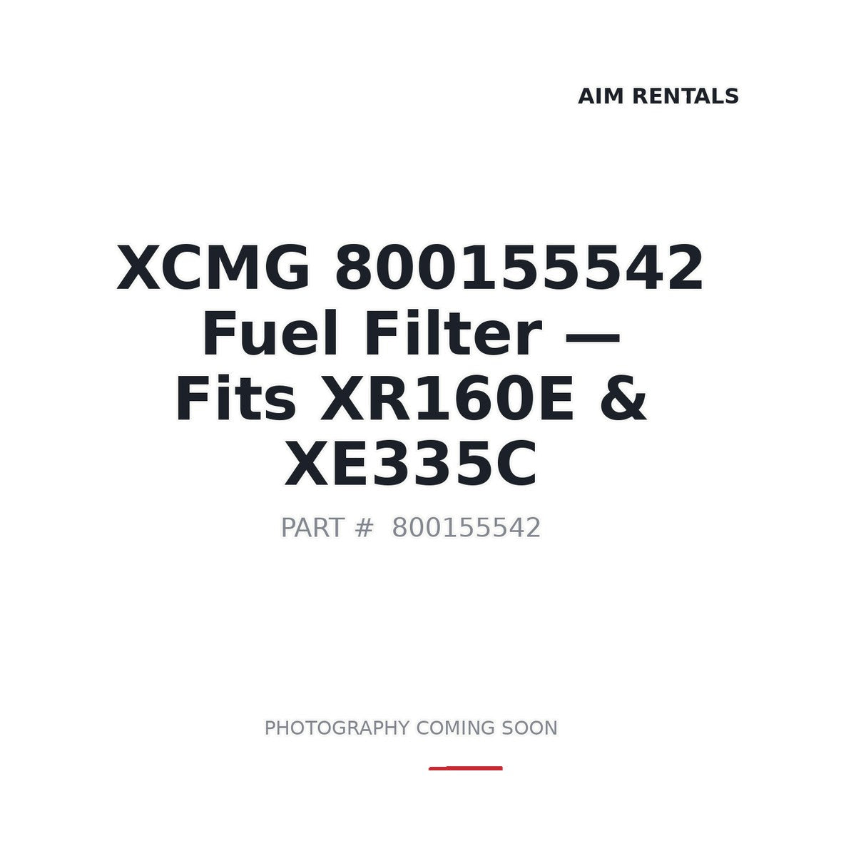 800155542 XCMG Filters