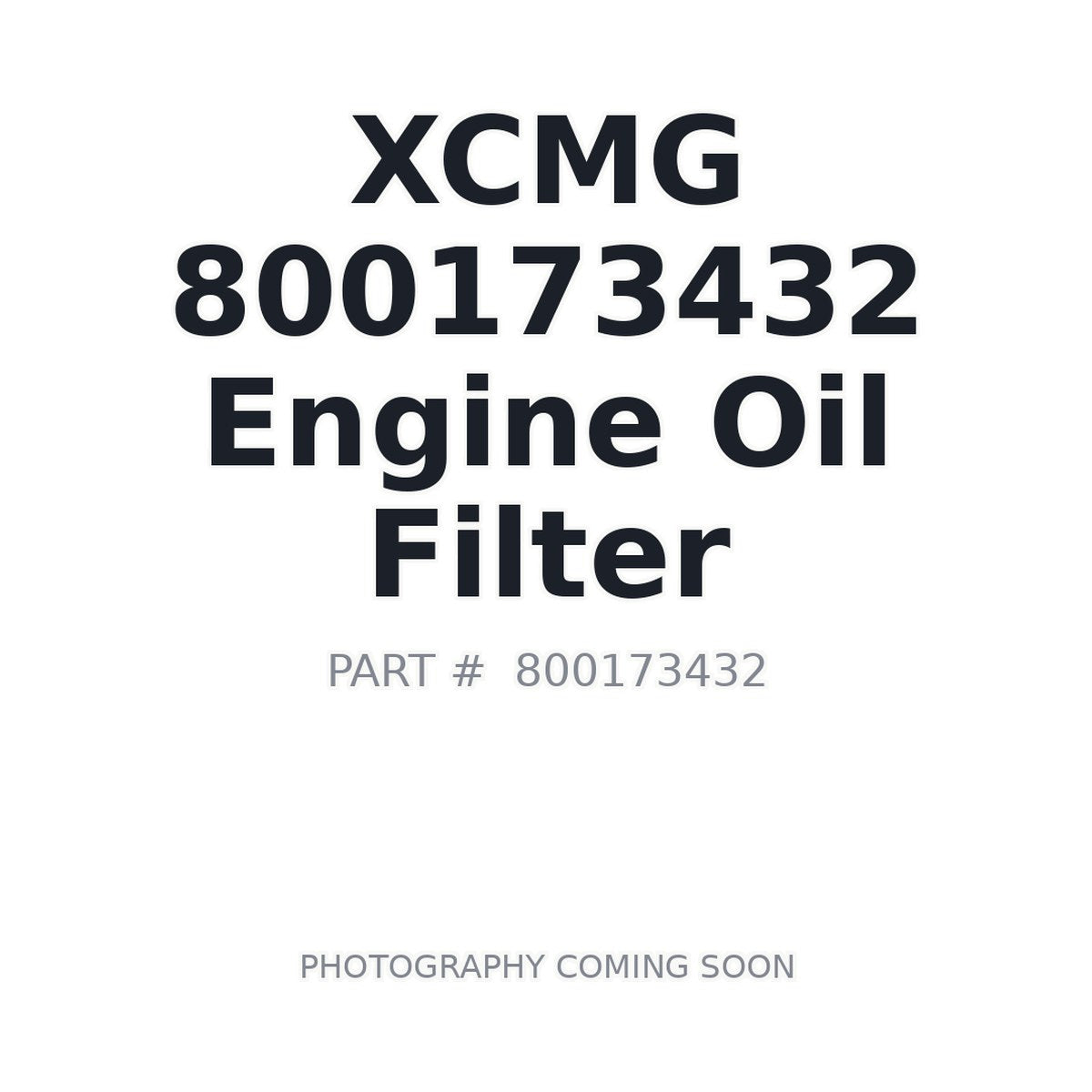 800173432 XCMG Lube Filter