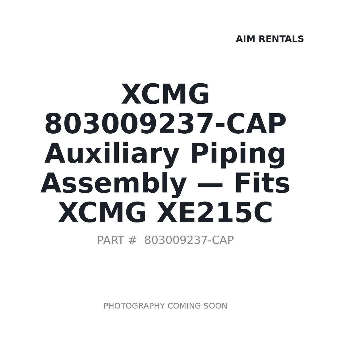 803009237-CAP XCMG Auxiliary Piping Assembly - Fits XCMG XE215C