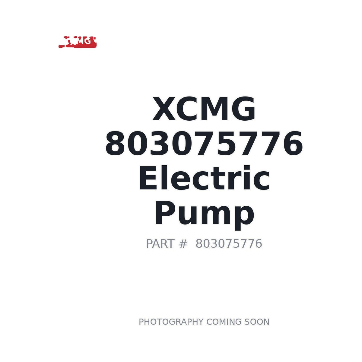 803075776 XCMG Pump