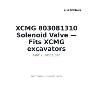 XCMG 803081310 Hydraulic Valves | Stocked in BC, Ships Canada-Wide