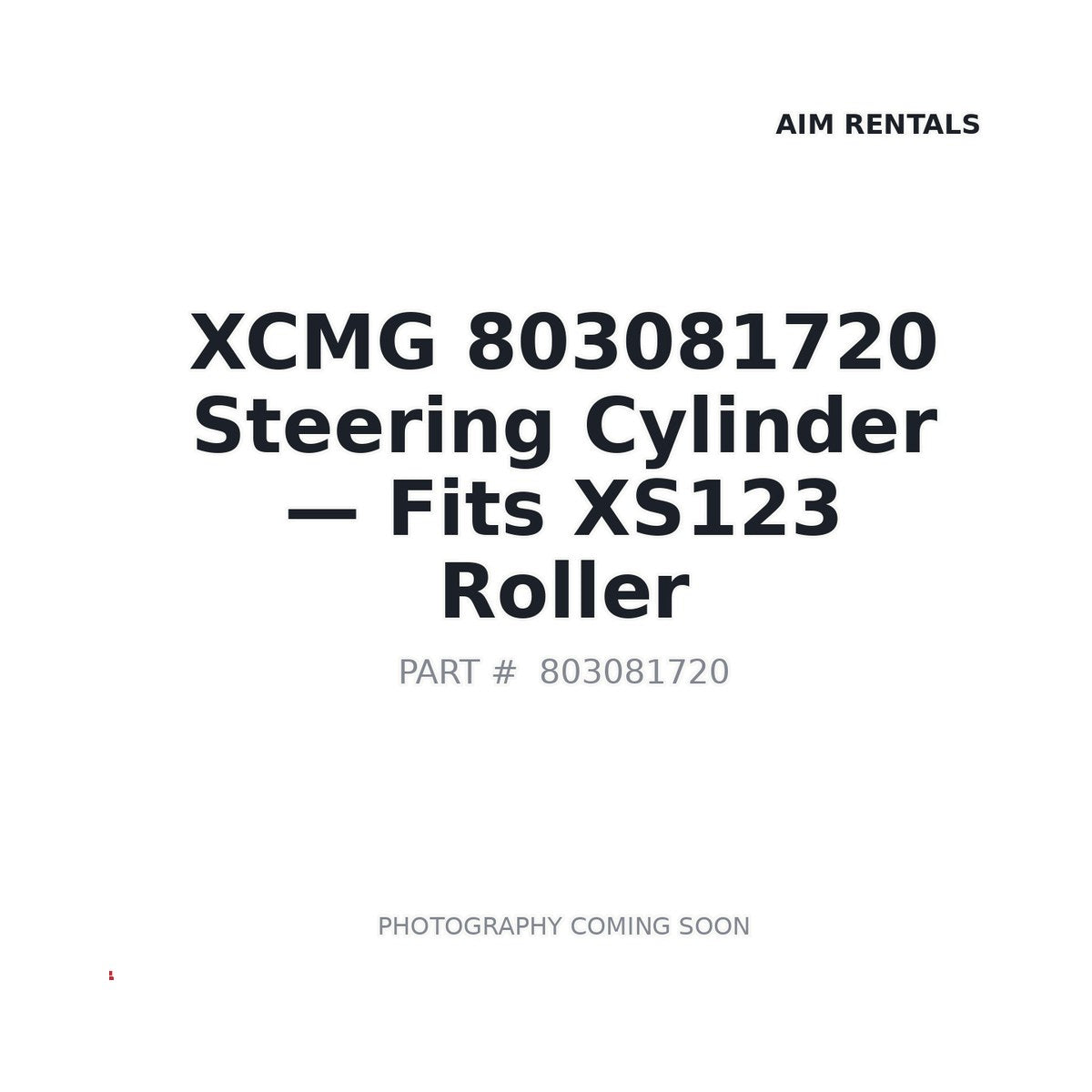 803081720 XCMG Hydraulic Cylinders