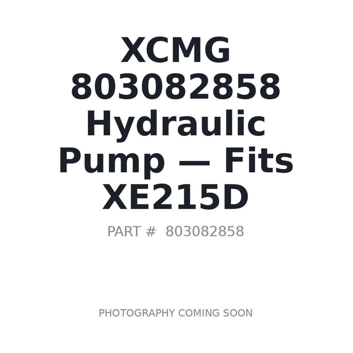 803082858 XCMG Hydraulic Pumps