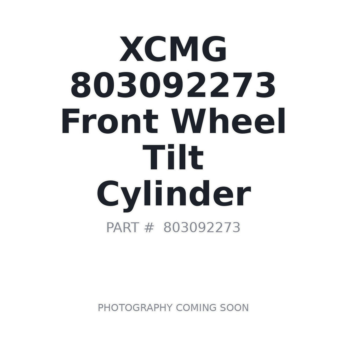 803092273 XCMG Cylinder