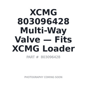 XCMG 803096428 Valves | Stocked in BC, Ships Canada-Wide