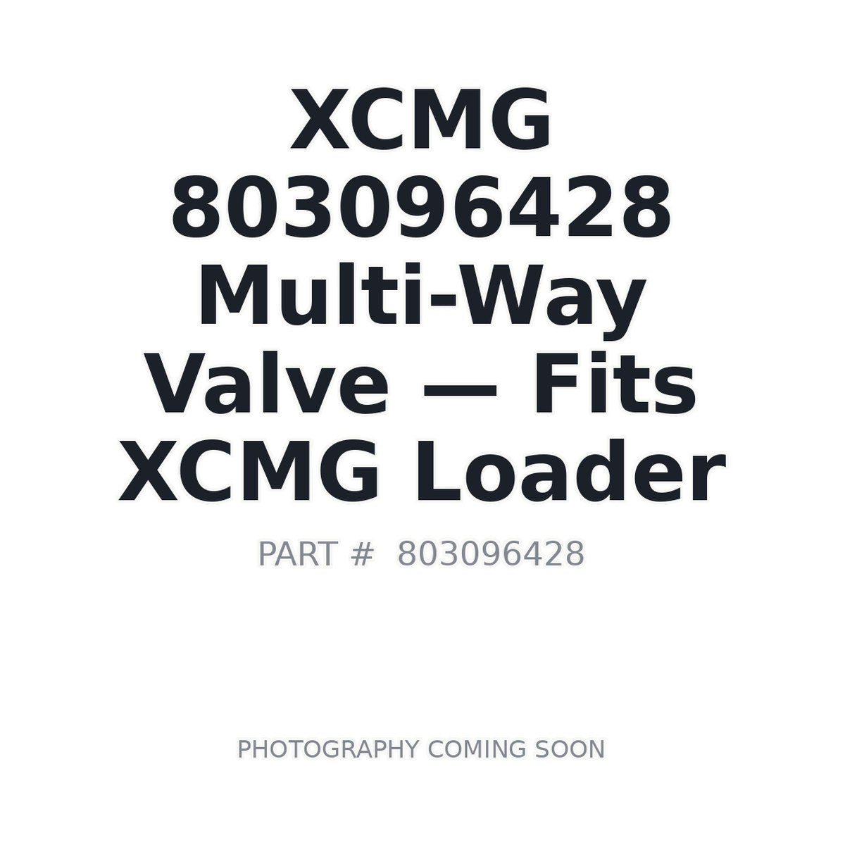 803096428 XCMG Valves