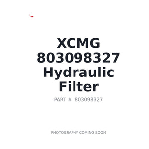 XCMG 803098327 Hydraulic Filter | Fits XCMG excavators, XCMG wheel loaders | Stocked in BC, Ships Canada-Wide