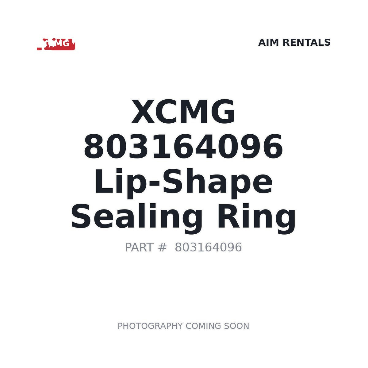 803164096 XCMG O-ring