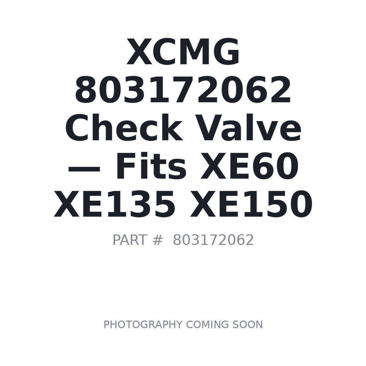 803172062 XCMG Hydraulic Valves