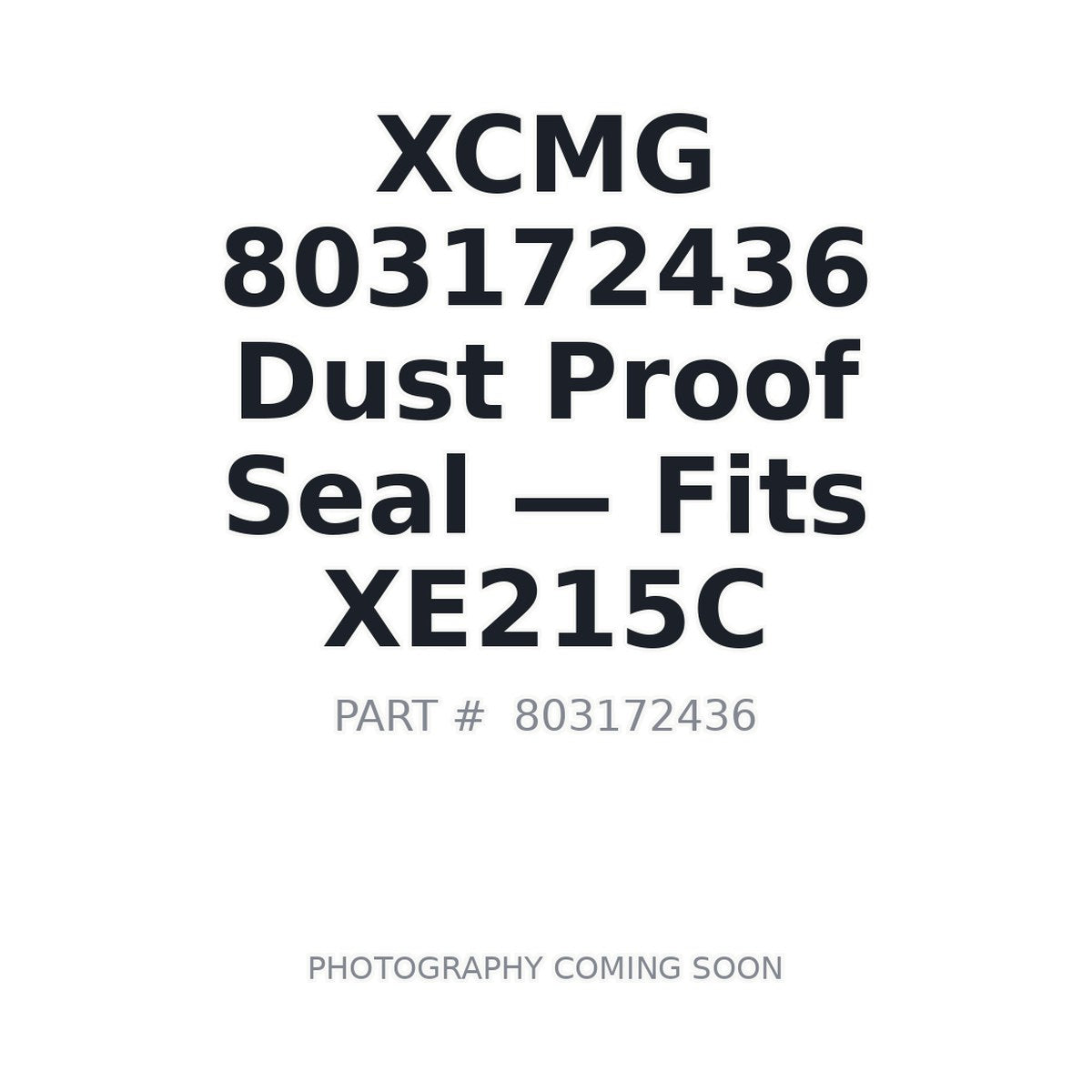 803172436 XCMG Seals