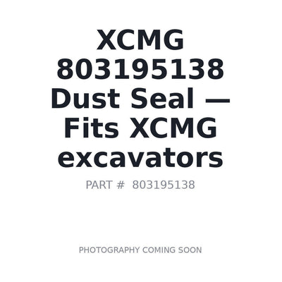 803195138 XCMG Seals