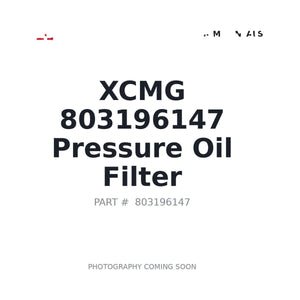 XCMG 803196147 Hydraulic Filter | Stocked in BC, Ships Canada-Wide