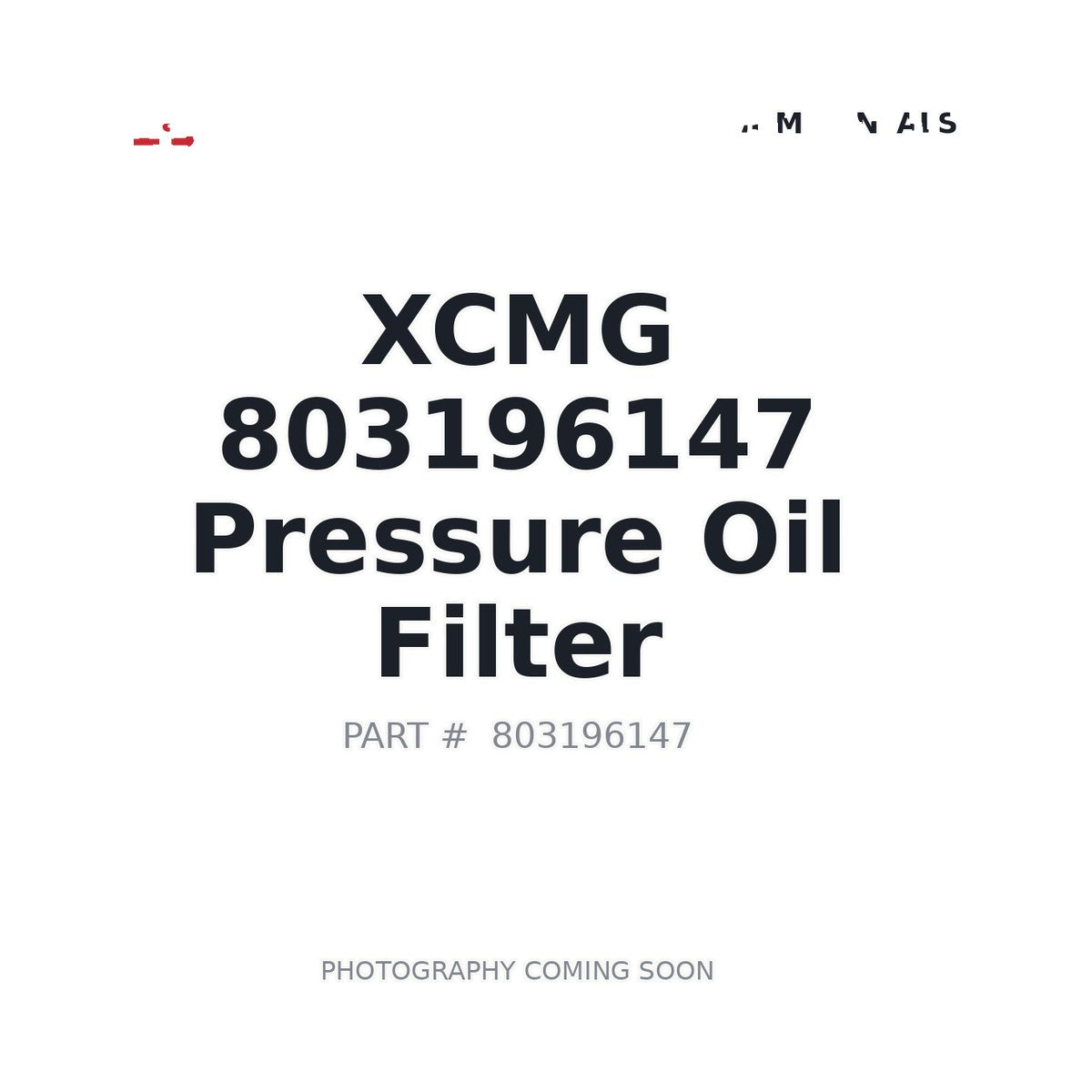 803196147 XCMG Hydraulic Filter
