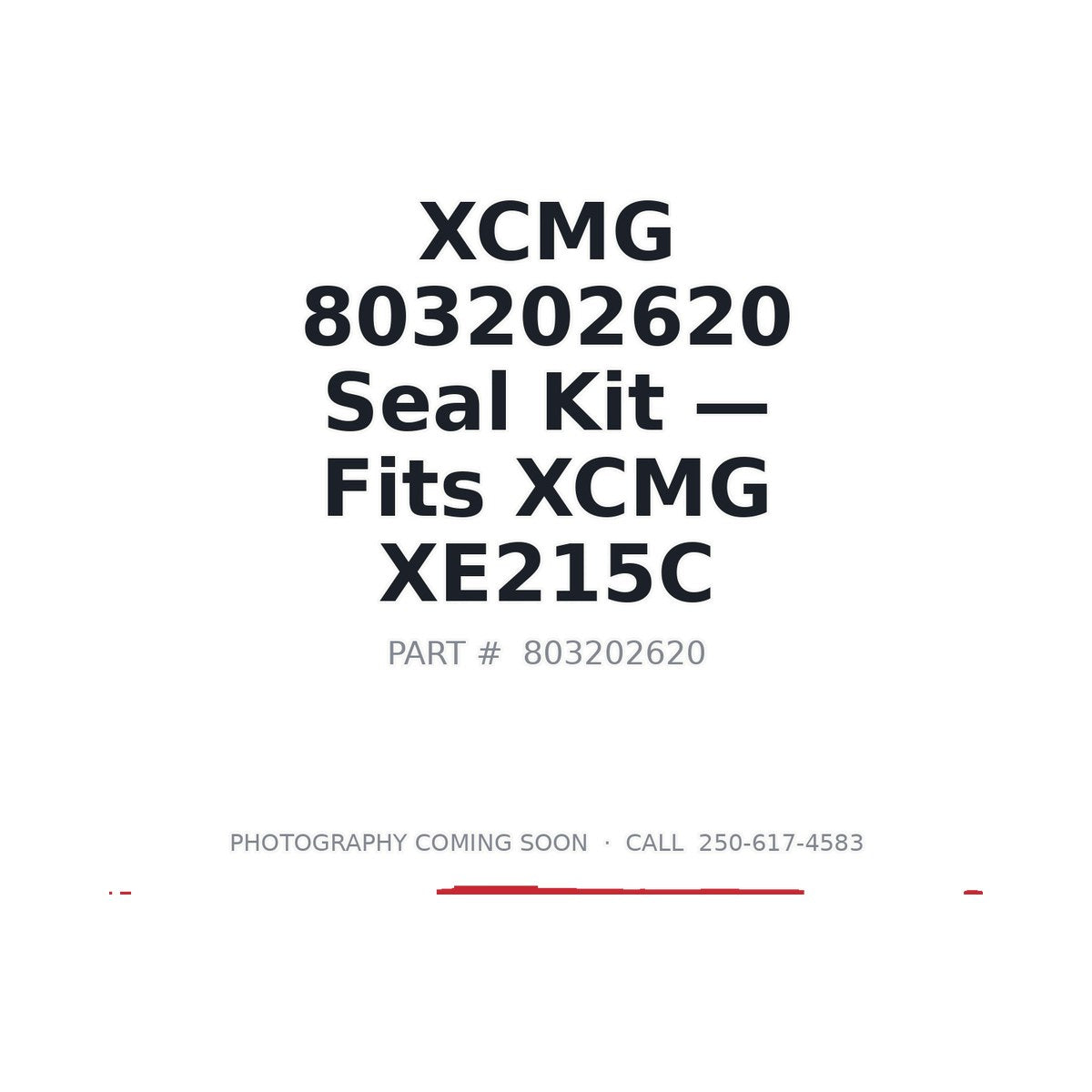 803202620 XCMG Hydraulic Seals