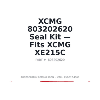 803202620 XCMG Hydraulic Seals