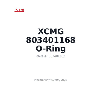 XCMG 803401168 O-ring | Fits XCMG ZL50GN | Stocked in BC, Ships Canada-Wide