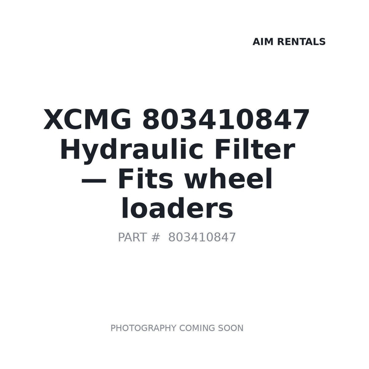 803410847 XCMG Filters