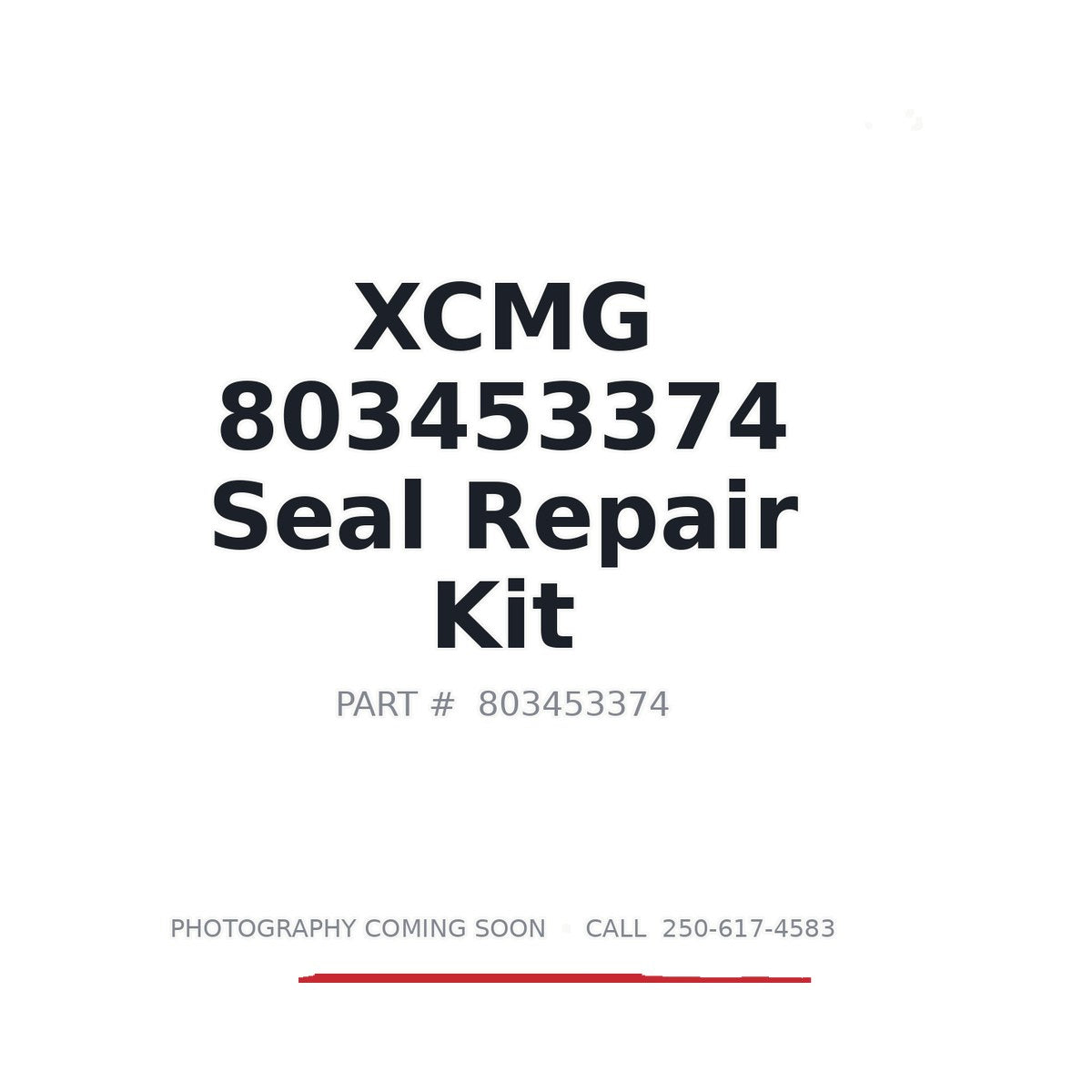 803453374 XCMG Seal Repair Kit