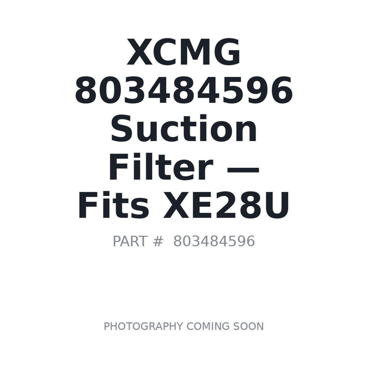 803484596 XCMG Filters