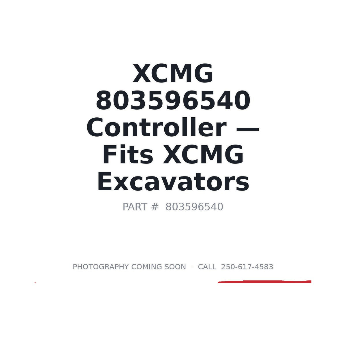 803596540 XCMG Electrical Controllers