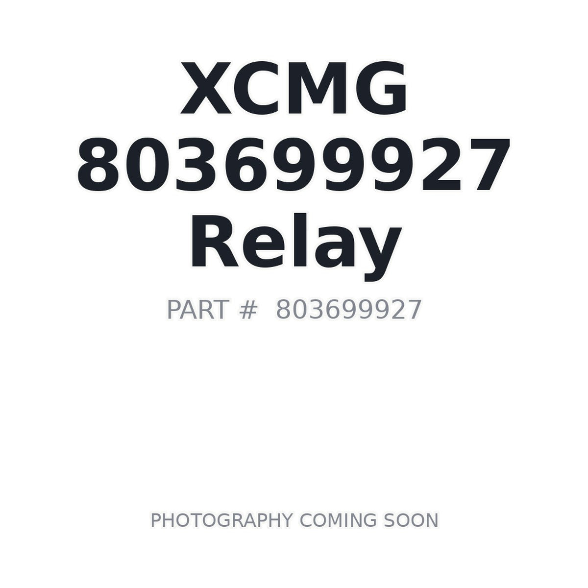 803699927 XCMG Relay