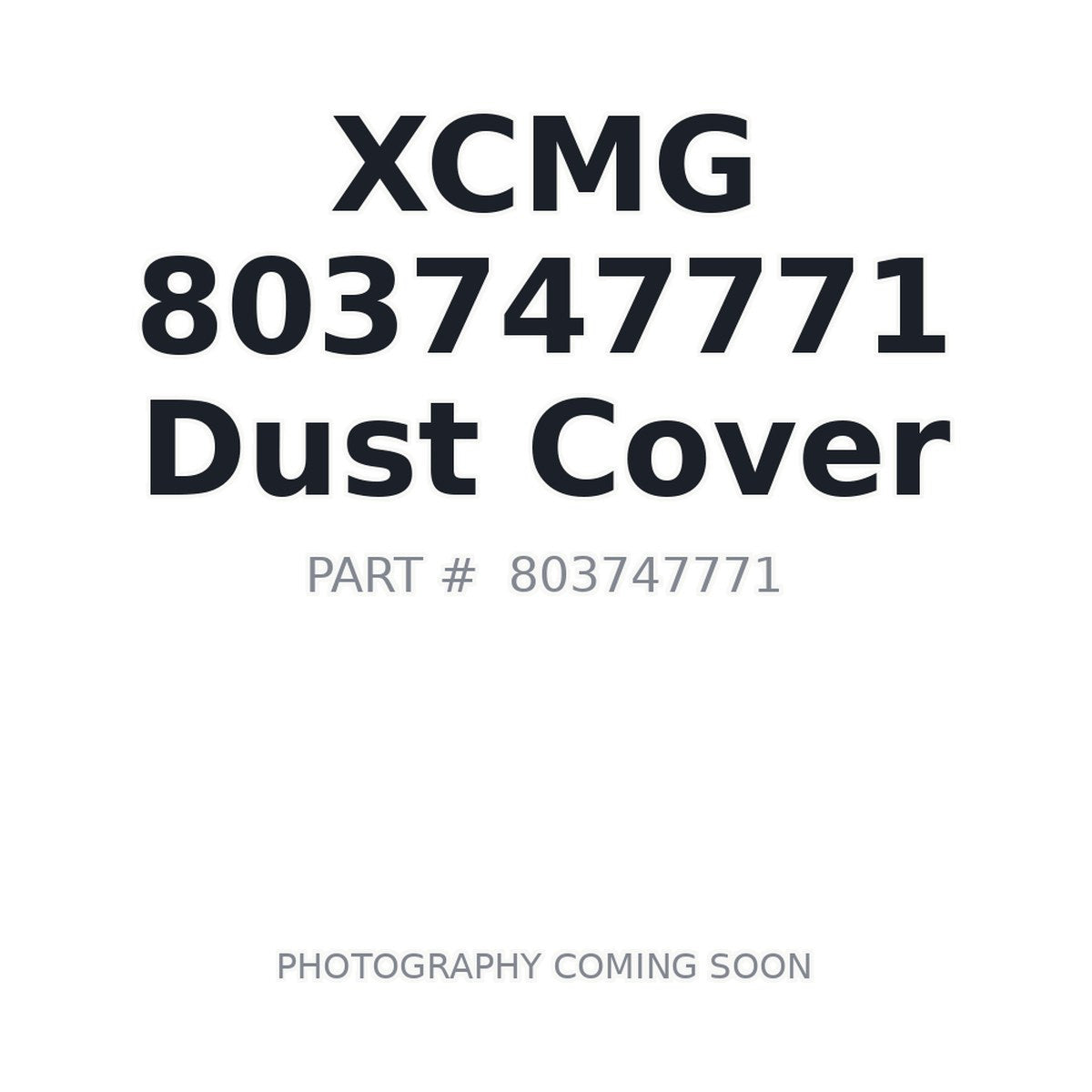 803747771 XCMG Dust Cover