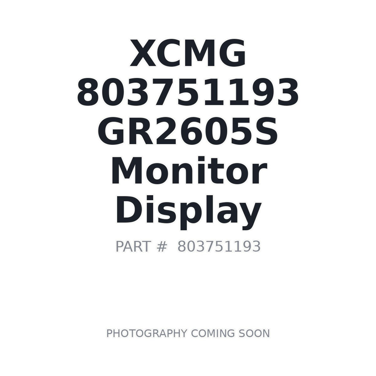 803751193 XCMG Monitor