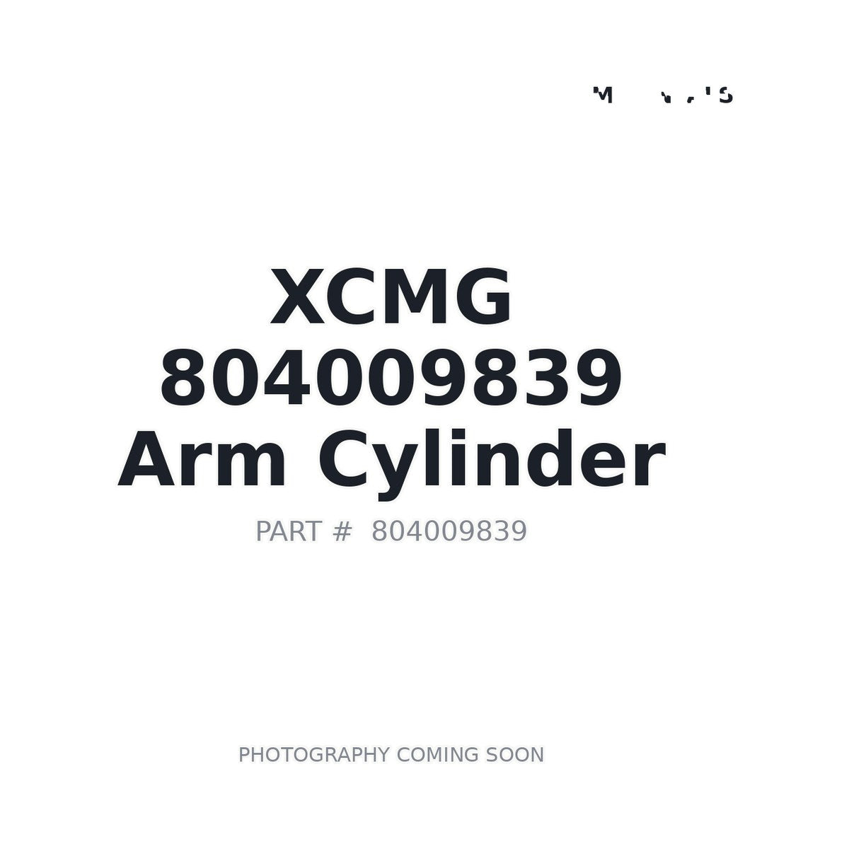 804009839 XCMG Cylinder