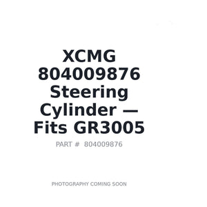 XCMG 804009876 Hydraulic Cylinders | Fits XCMG GR3005 | Stocked in BC, Ships Canada-Wide